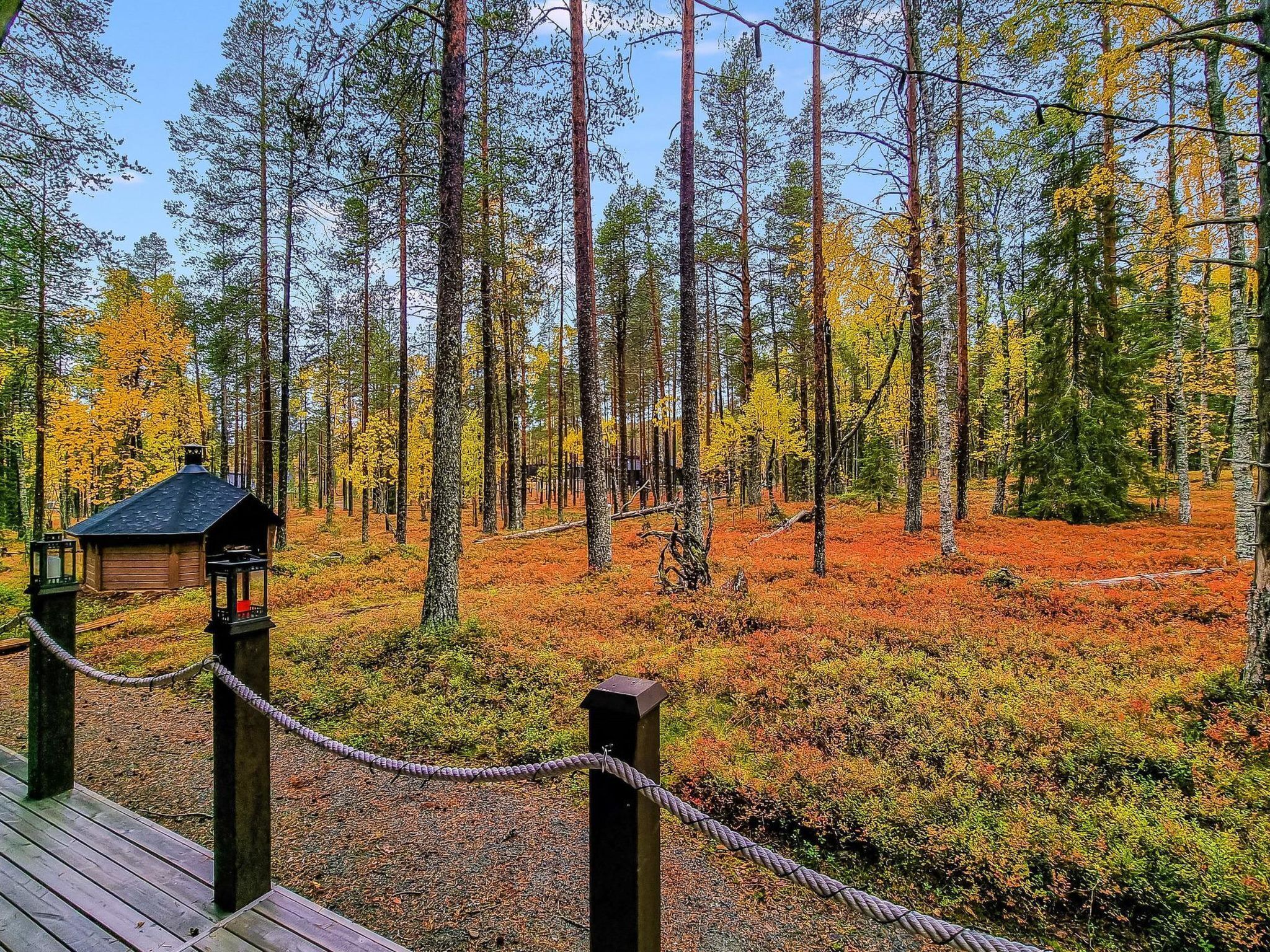 Une terrasse en bois, délimitée par une barrière en corde, entourée d’une forêt aux arbres imposants et dont le sol est recouvert d’un tapis de feuilles aux couleurs orangées.