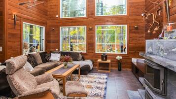 Televisio, DVD-soitin