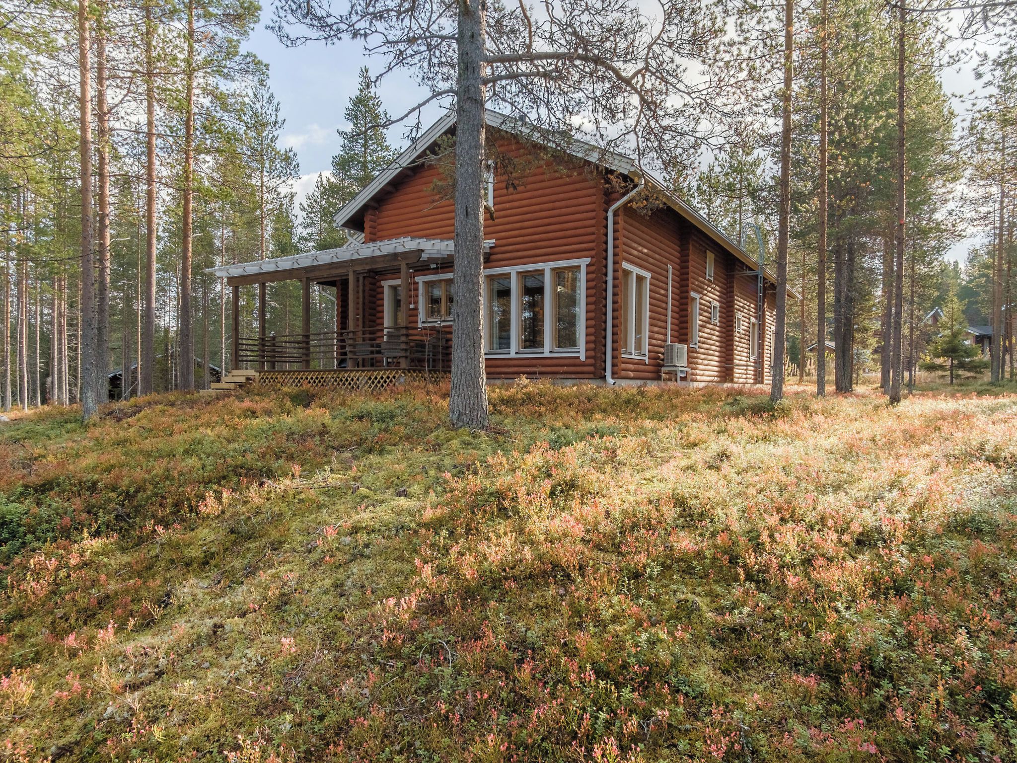 Eksteriør