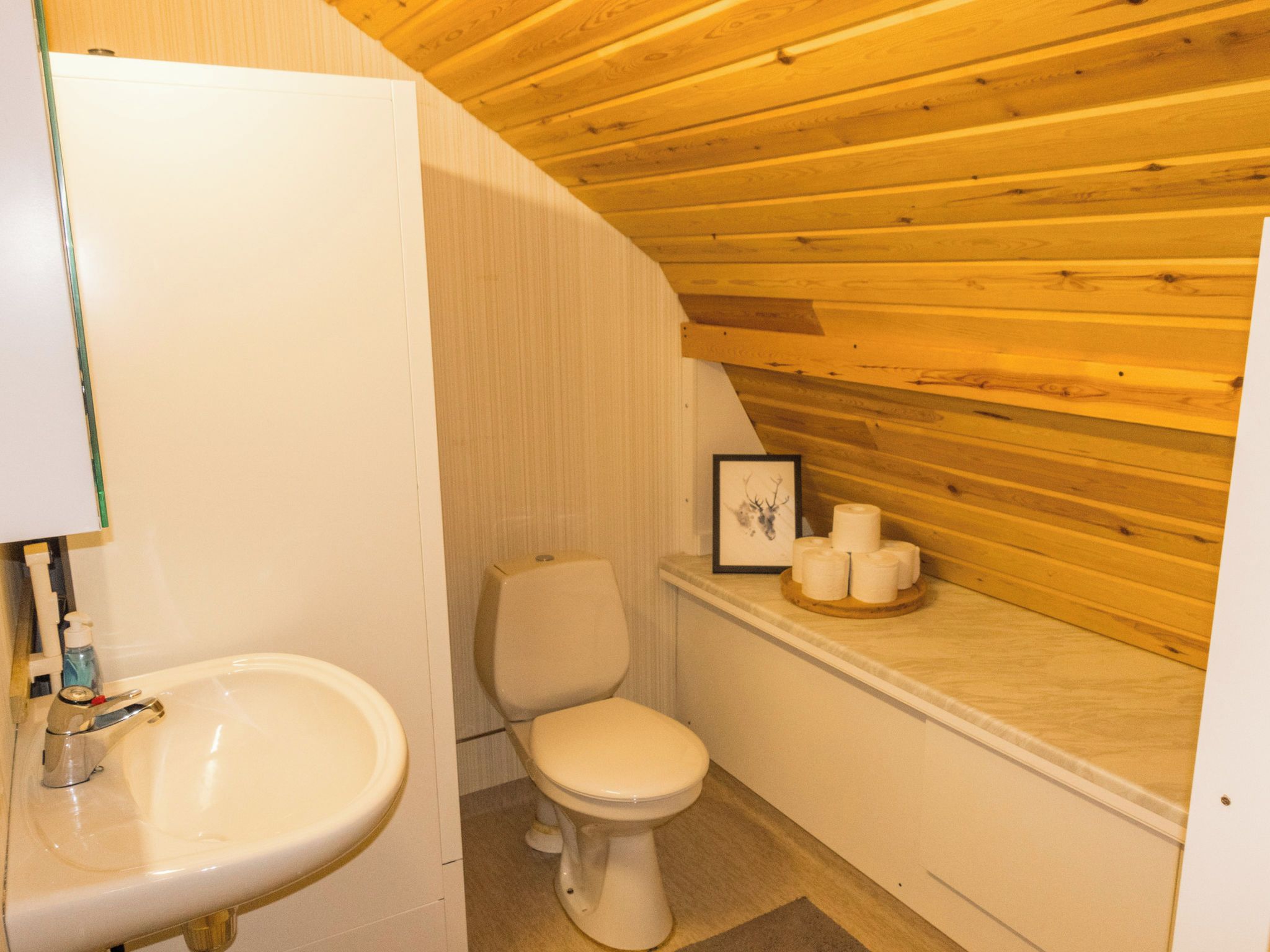 Pieni, käytännöllinen kylpyhuone, jossa on puinen katto, valkoinen pesuallas ja wc.