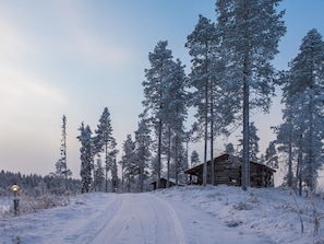 Eksteriør