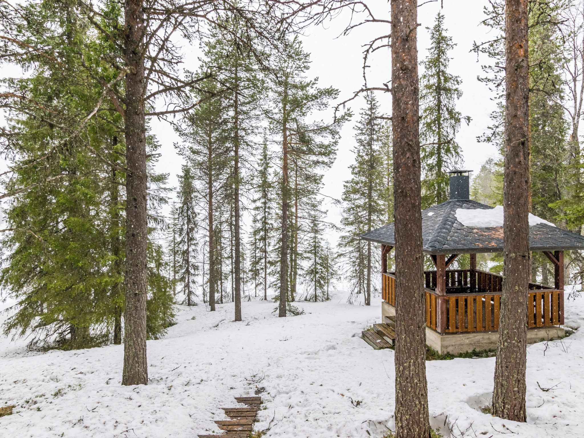A wooden cabin surrounded by tall evergreen trees in a snowy forest.