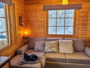 A cozy cabin interior with a sofa, a cat, and a window with a snowy view.