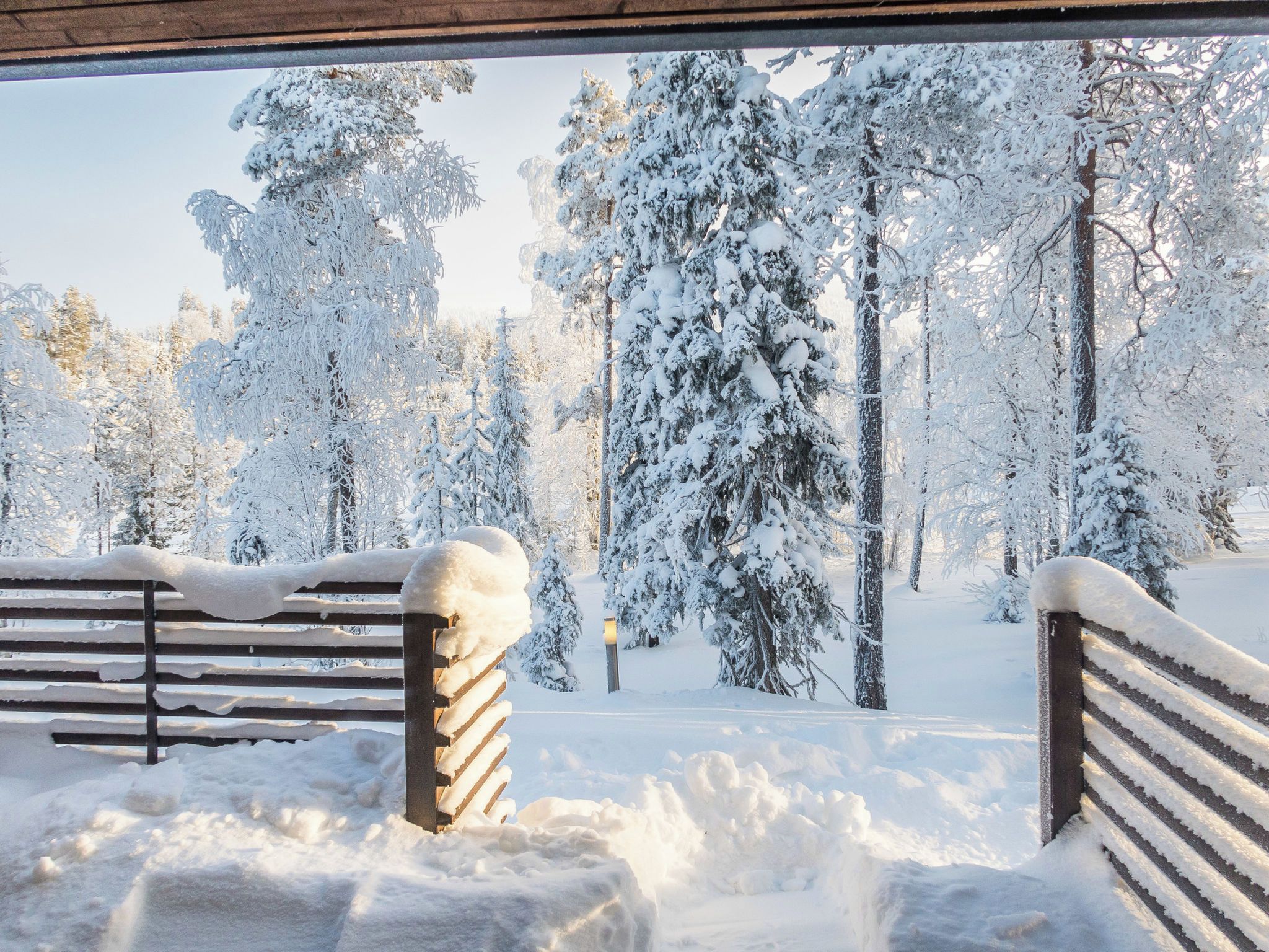 A snowy outdoor area with a bench and a pathway leading through a forest.