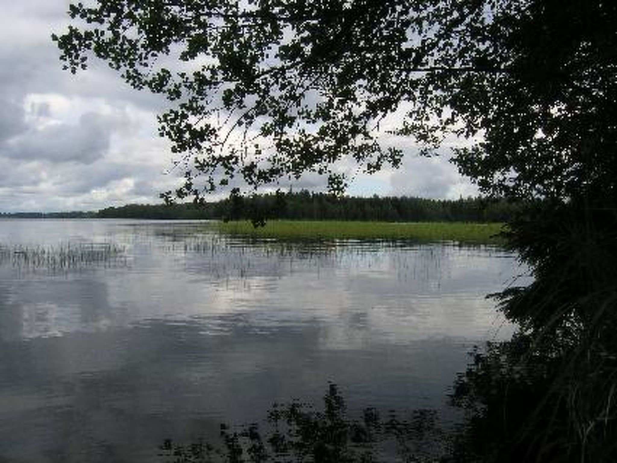 Un lago tranquilo con orilla boscosa y cielo nublado.