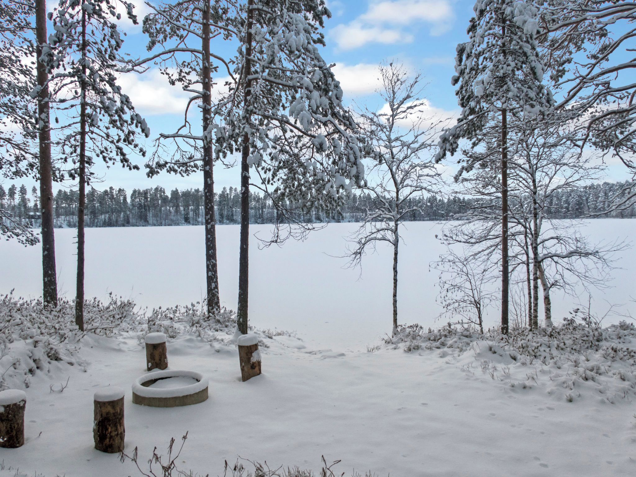 Lumipeitteinen maisema, jossa on puita ja jäinen järvi.