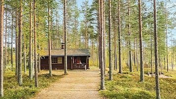 Ulkopuoli