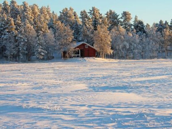 Un paisaje nevado con una pequeña cabaña roja rodeada de árboles.