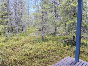 A forested area with a wooden deck.