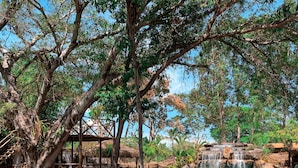 A wooden bridge over a clear water body, surrounded by trees and a small waterfall. - Pousada Grande Rio (Pirapora)