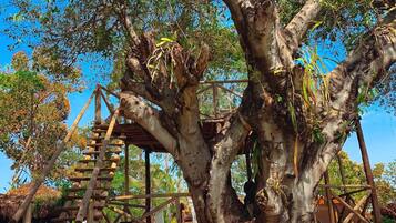 Jardim