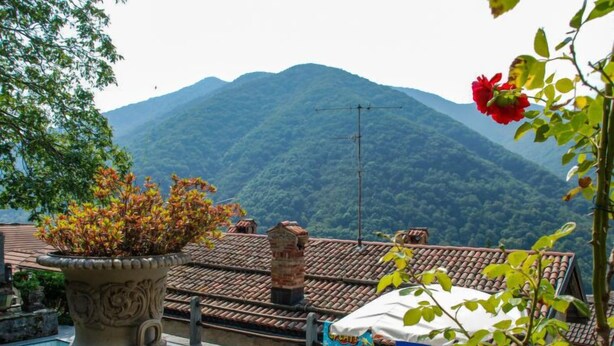 Ein Poolbereich mit Bergblick, einer Topfpflanze und einer roten Blume.