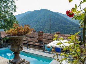 A pool area with a view of a mountain, a potted plant, and a red flower.
