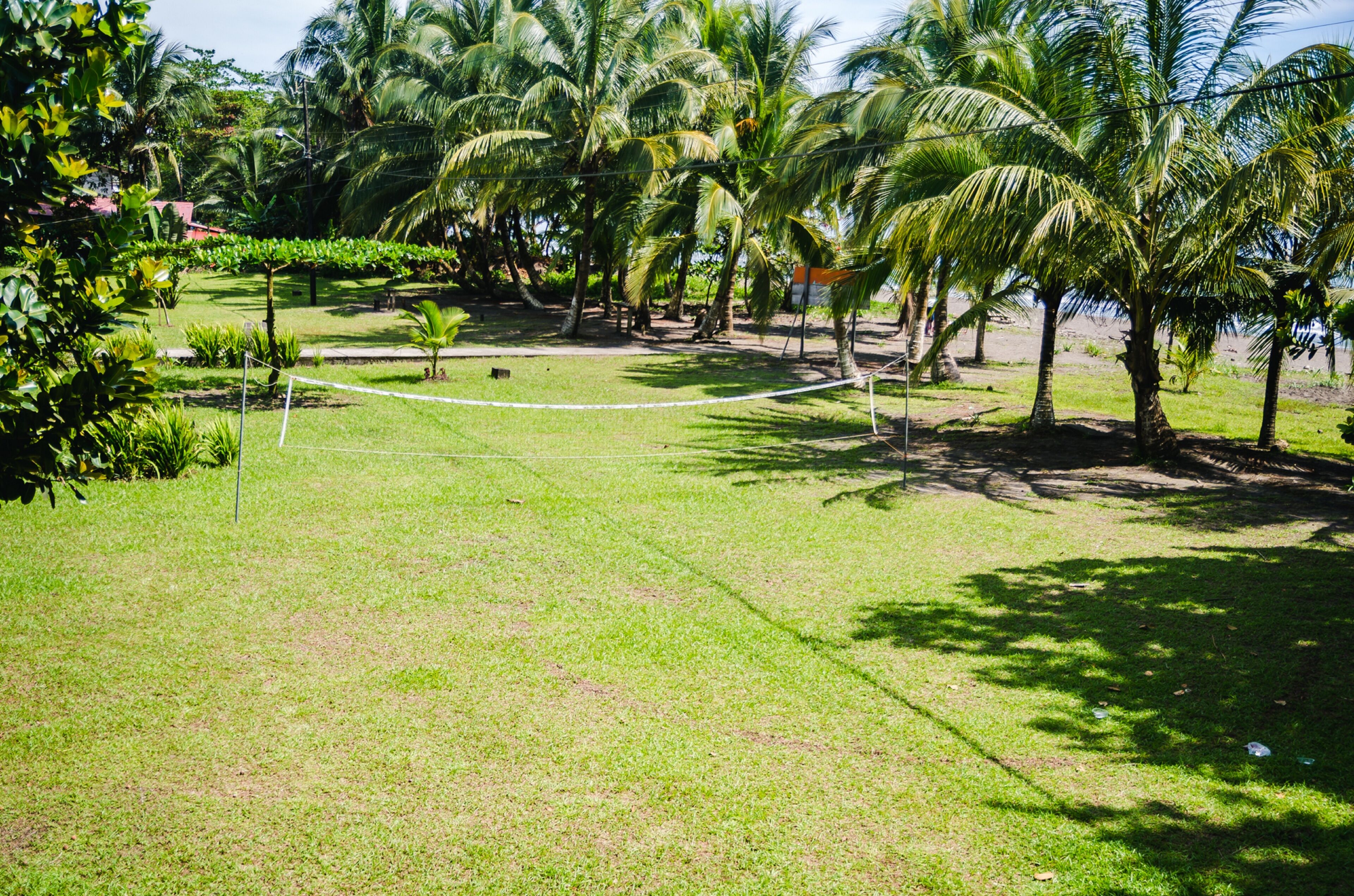 A well-maintained grassy area with palm trees and a rope barrier.
