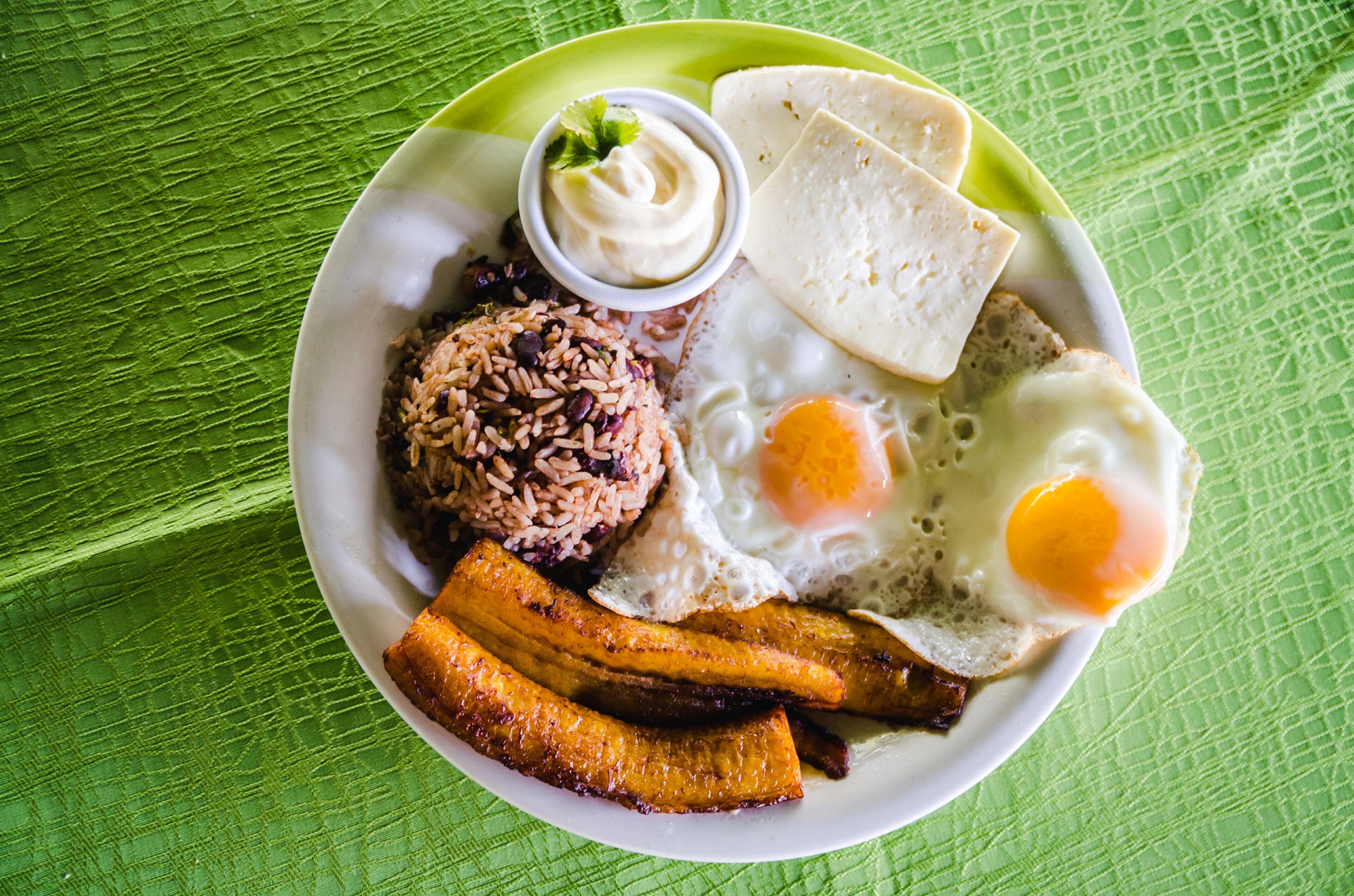 Foto - Hotel Tortuguero Beachfront