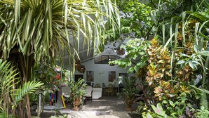 Un exuberante jardín interior con diversas plantas y un espacio para sentarse.