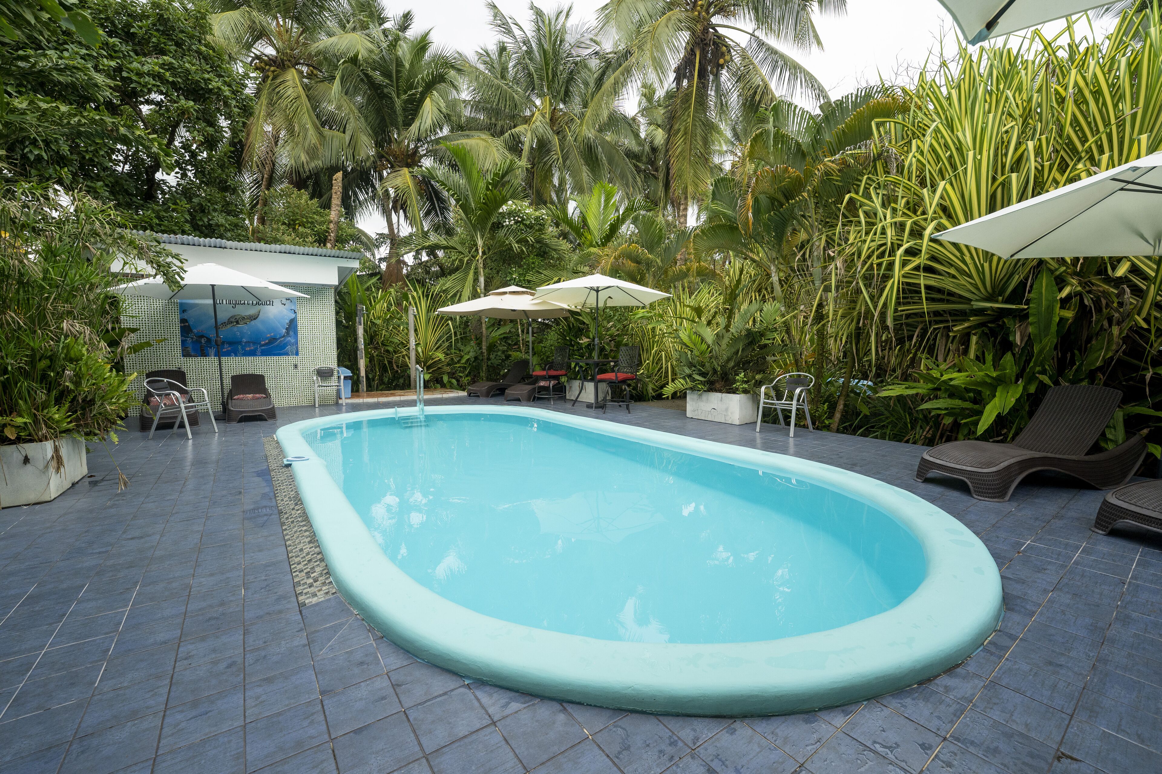 Piscina com espreguiçadeiras e guarda-sóis, cercada por plantas tropicais.