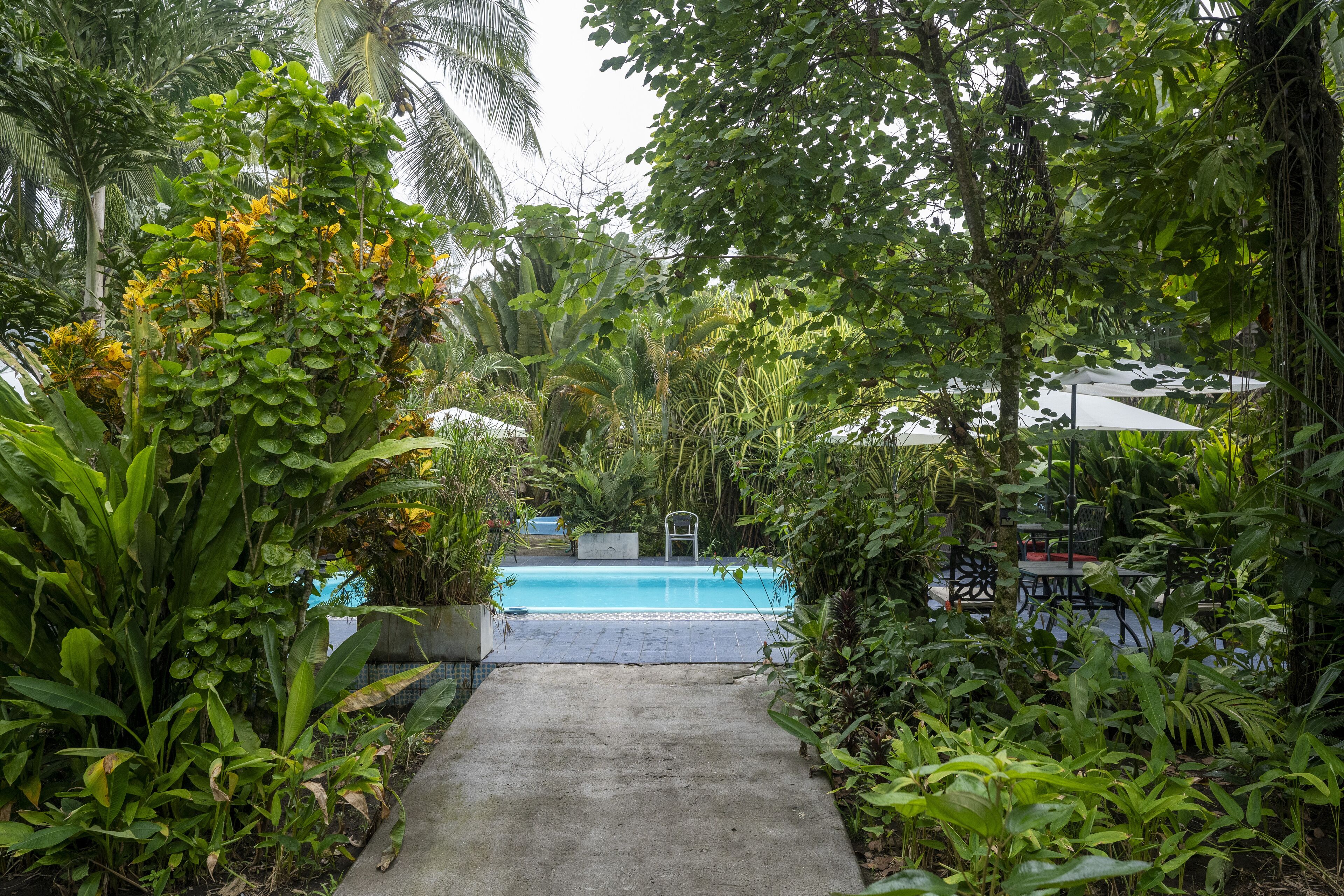 Outdoor pool, open 8:00 AM to 10:00 PM, pool loungers