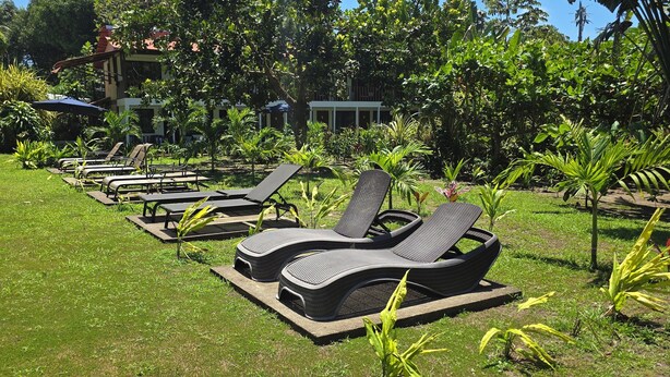 A row of sun loungers on a grassy lawn with a building in the background. - Hotel Tortuguero Beachfront (Colorado)