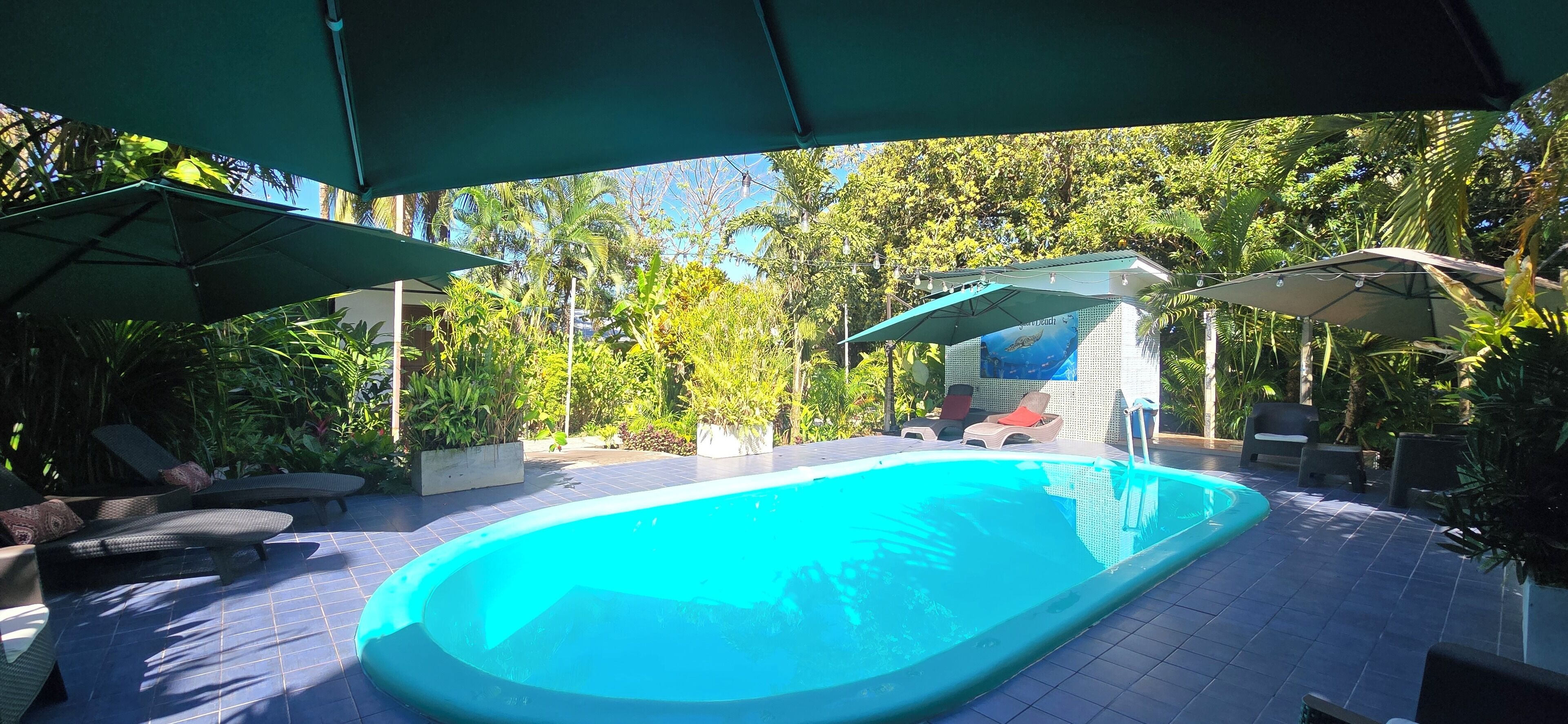 Foto - Hotel Tortuguero Beachfront