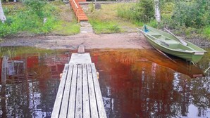 Eksteriør