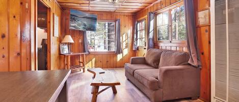 Cabin, 1 King Bed, Hot Tub, Mountain View (102) | Living area | Fireplace