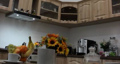 Toller Service, tolle Qualität, tolle Lage, tolle Erfahrung!