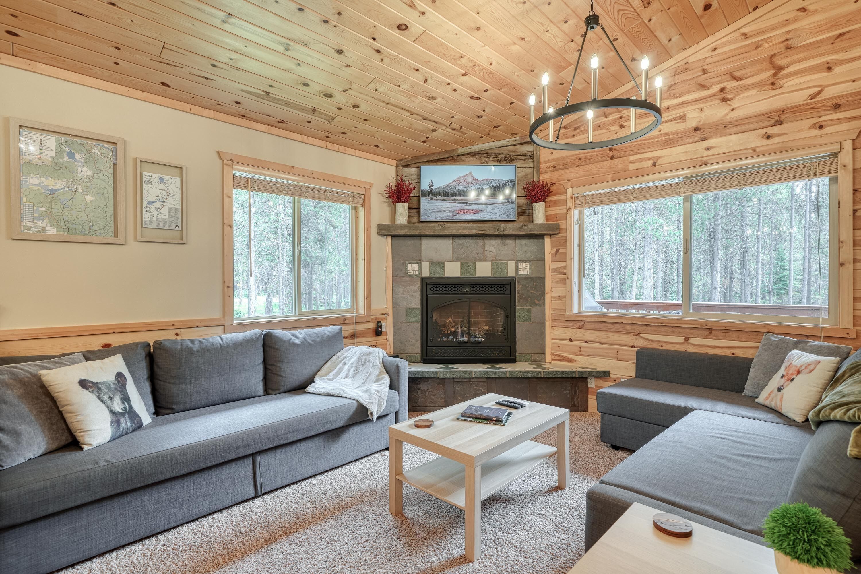 Smart TV, fireplace, books, music library