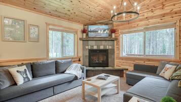 Smart TV, fireplace, books, music library