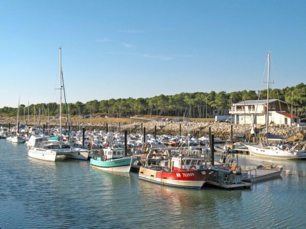 A marina with multiple boats docked, a rocky shoreline, and a building with a balcony.