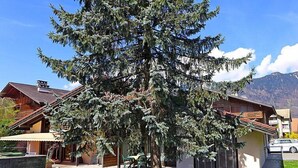 Un grand arbre à feuilles persistantes se dresse devant une maison en bois dont le toit est en pente.