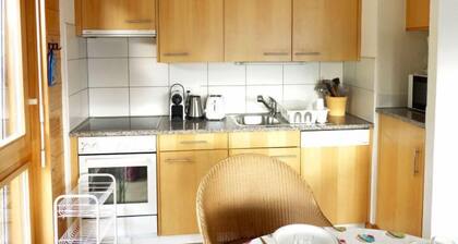 Fénestral R01 by Interhome