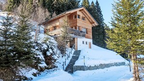 Une cabane en bois avec un escalier en pierre menant à une terrasse en bois, entourée d’un paysage enneigé et d’arbres à feuilles persistantes.