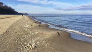 Une plage avec une jetée en bois qui s’avance dans l’eau, un ciel dégagé et une personne qui se promène le long du rivage.