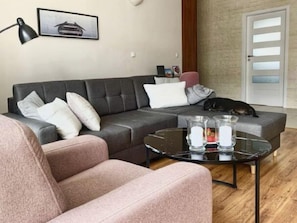 Fernseher