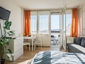 1 soverom og internettilgang