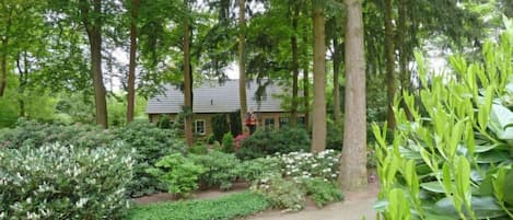 Una casa circondata da vegetazione lussureggiante e alberi alti.