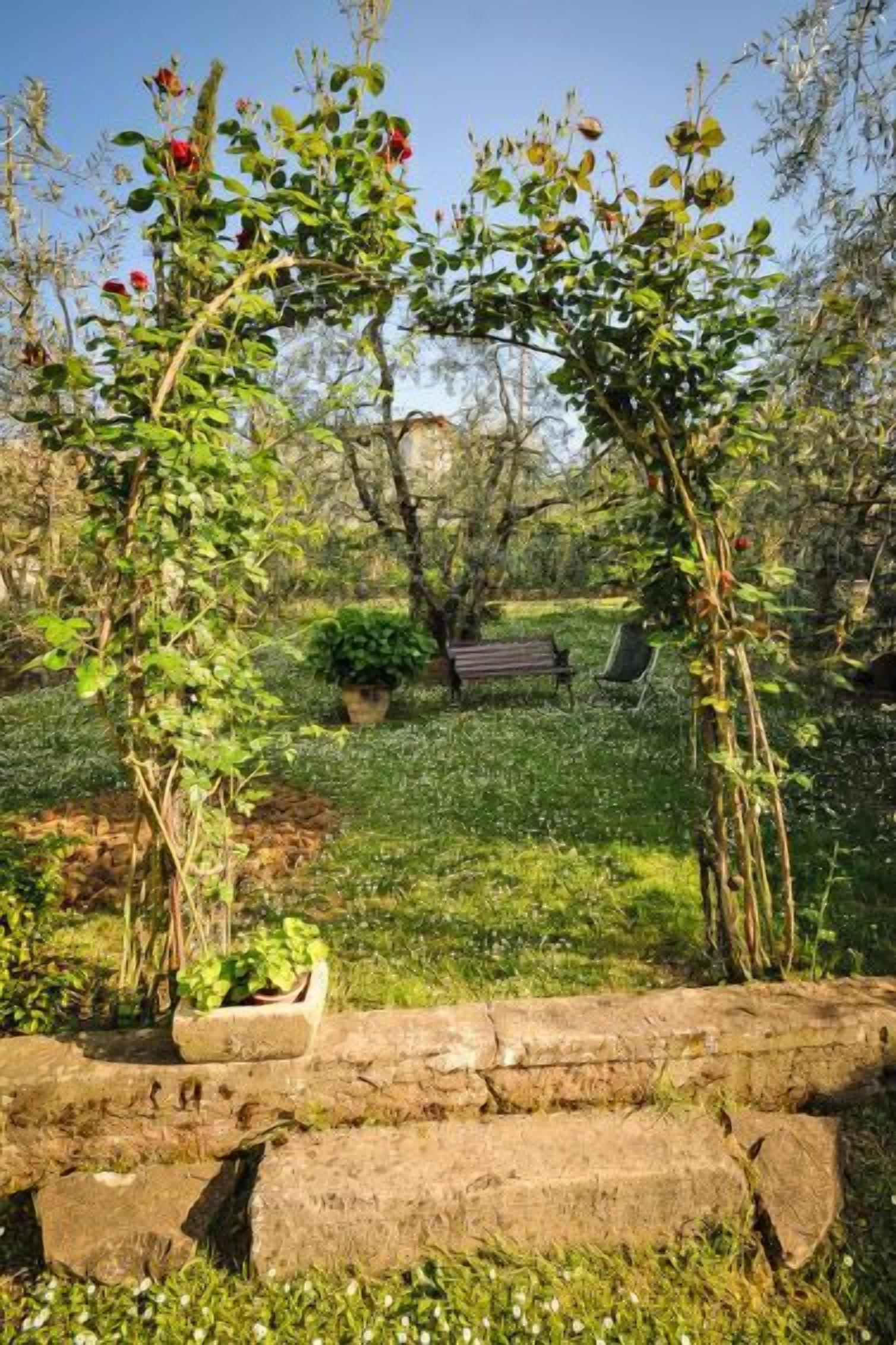 Un jardin avec un banc en bois, une plante en pot et un chemin de pierres.
