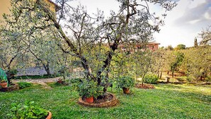Un jardin agrémenté de différentes plantes en pot et d’une pelouse.