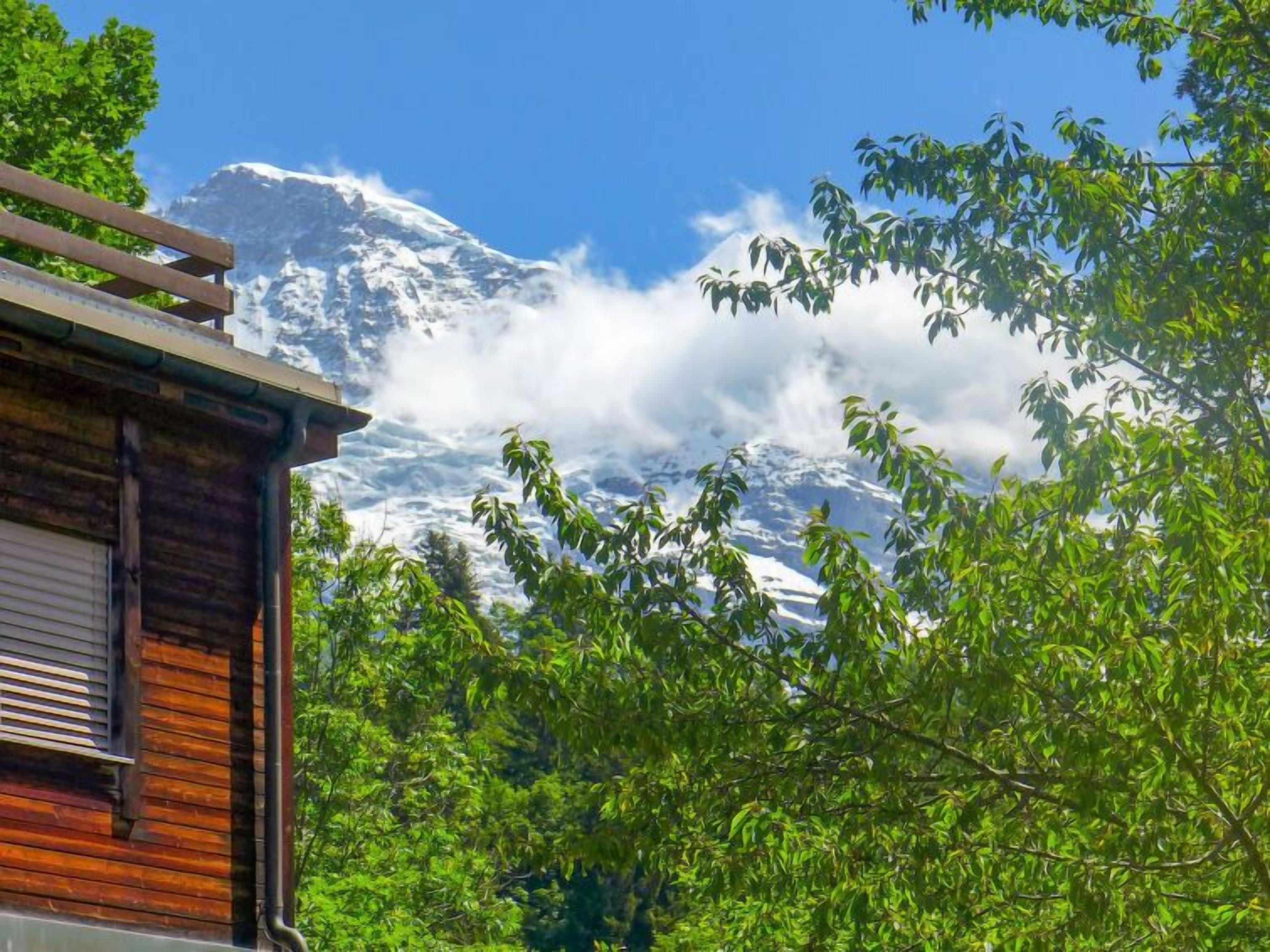Une cabane en bois offrant une vue sur une montagne enneigée et une végétation luxuriante.