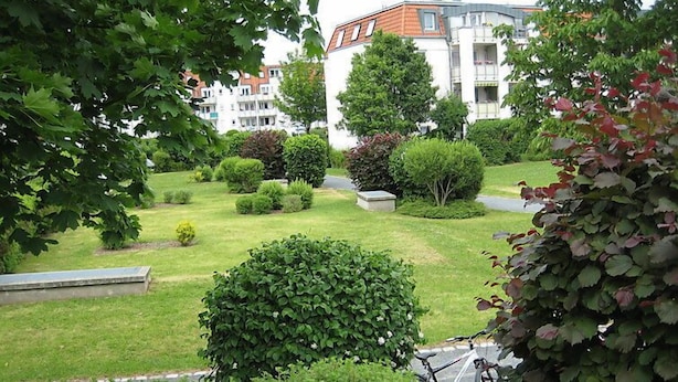 Een verzorgde tuin met diverse struiken en een fiets in de voorgrond.