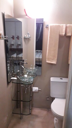 Shower, towels, soap, toilet paper