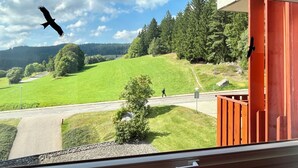 Vista desde una ventana sobre un paisaje verde con una carretera, árboles y una persona caminando.