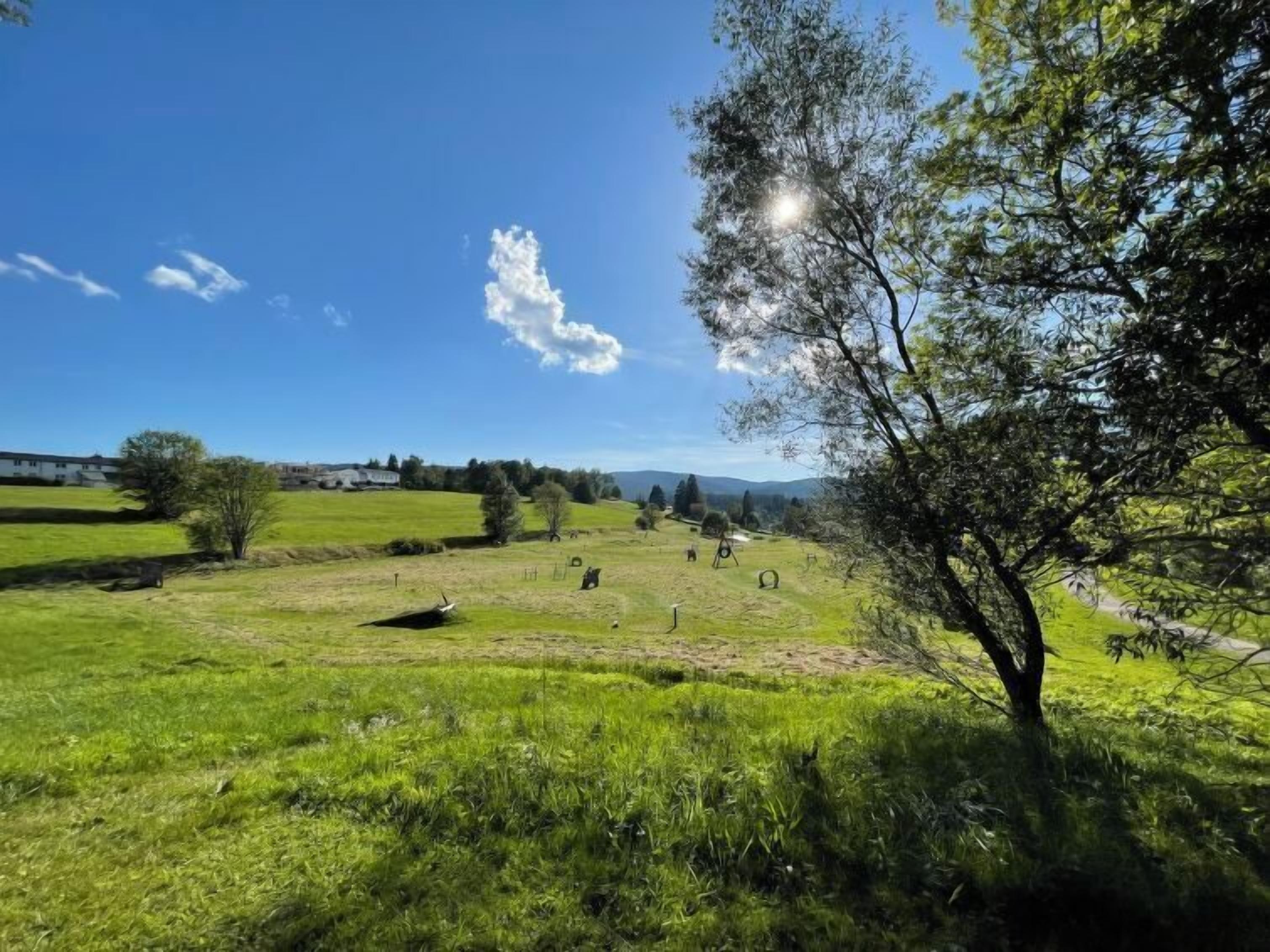 Paisagem rural com um campo gramado, algumas árvores dispersas e um céu azul claro.