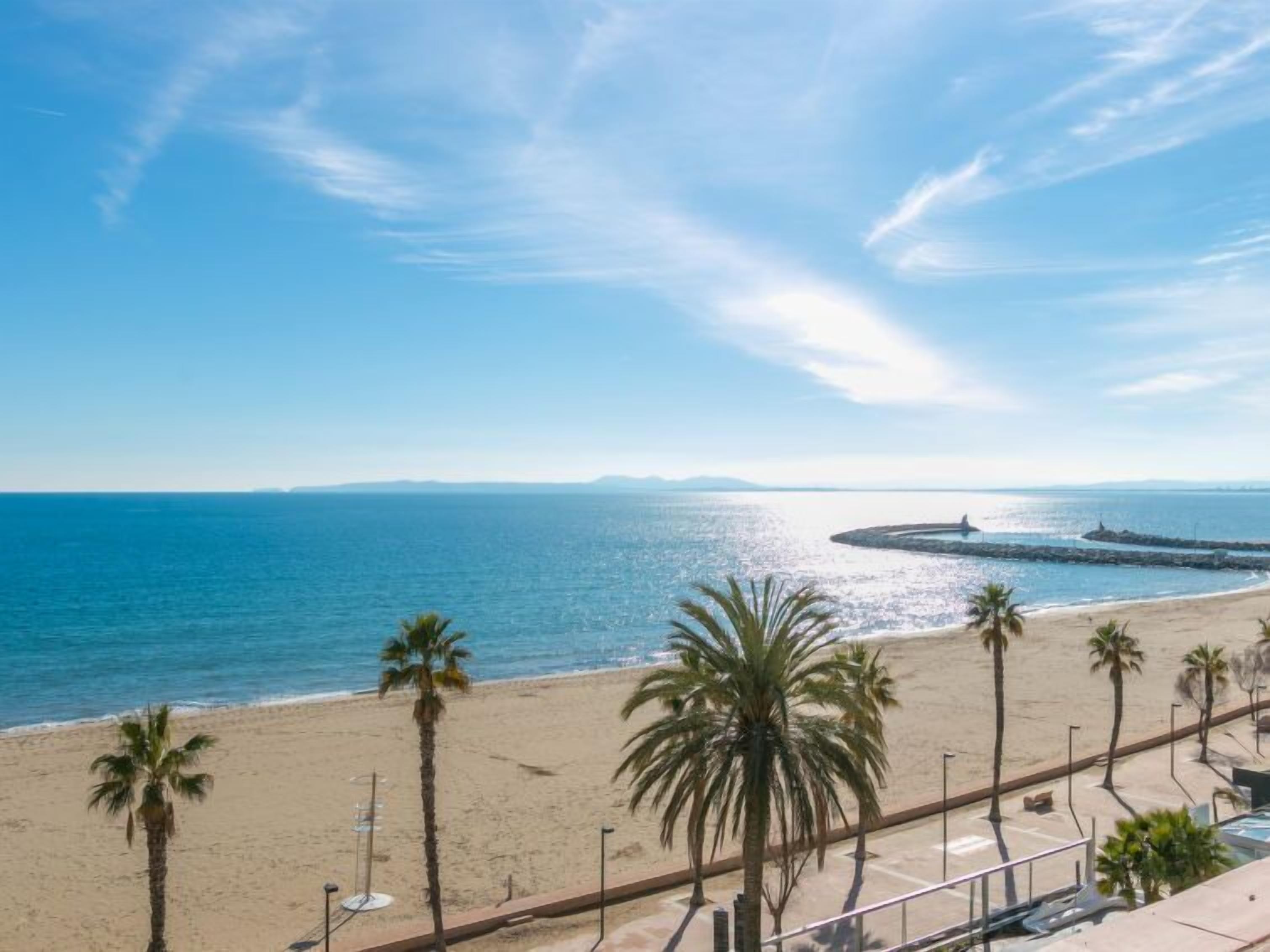 A beach with palm trees and a clear view of the ocean.