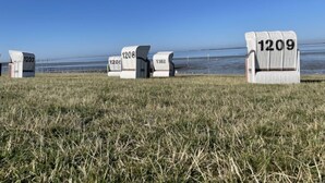 Een rij genummerde strandhutten, genummerd 1203, 1208, 1205, 1302 en 1209.