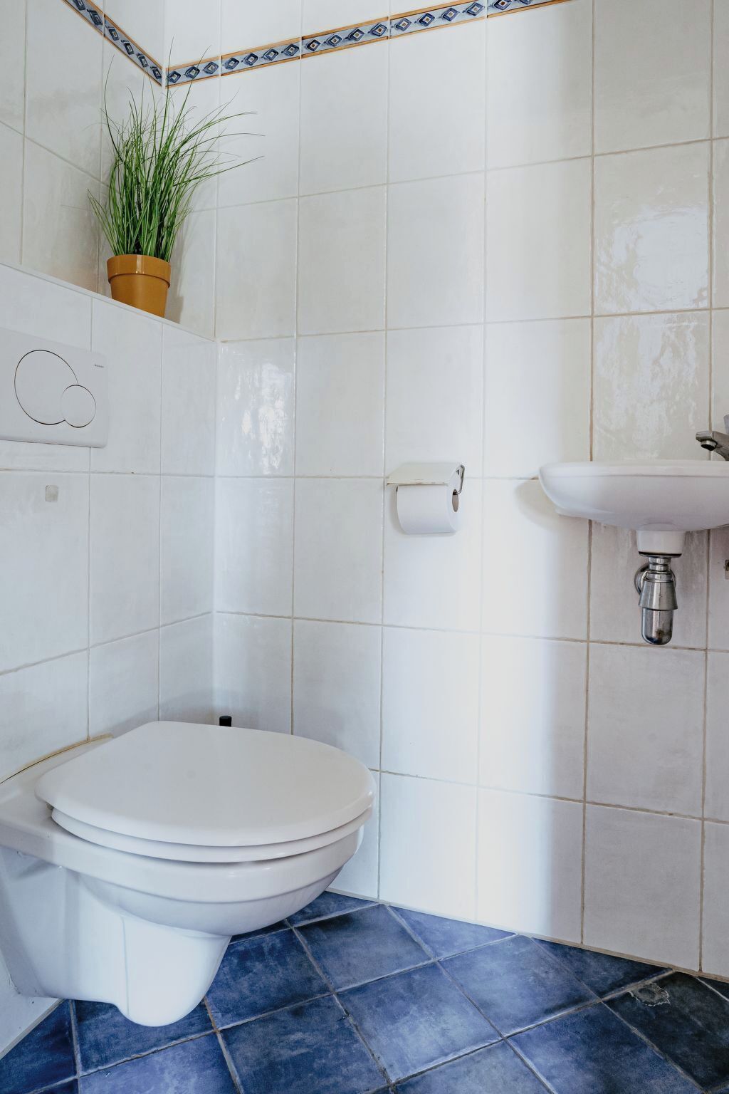 A bathroom with a toilet, a sink, and a potted plant.