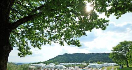 Cerbiatto n°5A by Interhome