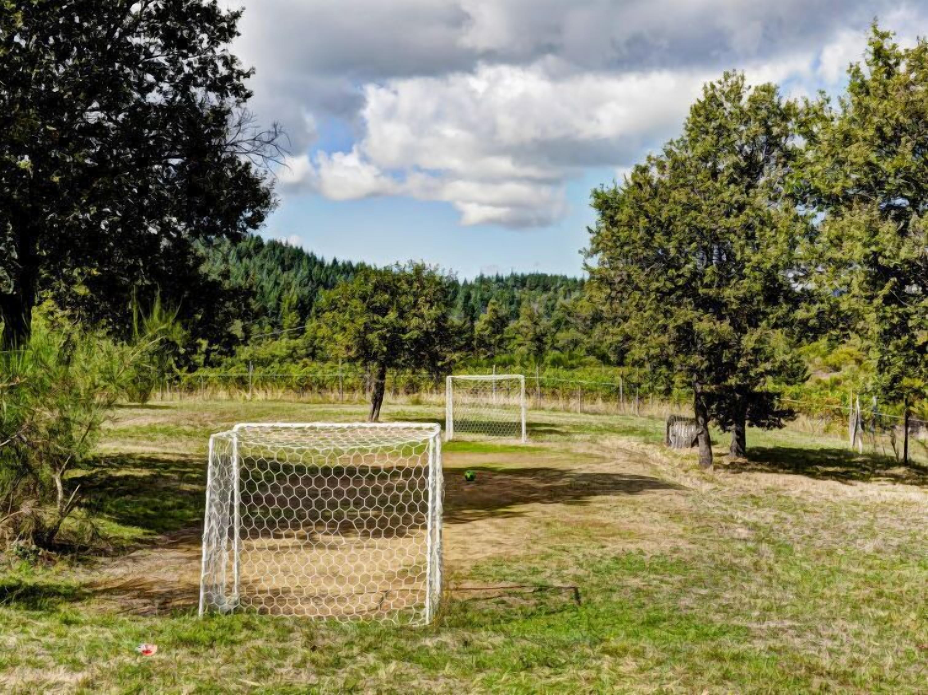 A soccer goal in a grassy field with trees in the background.