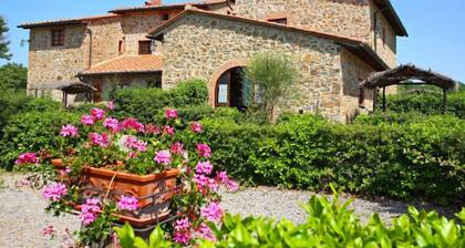 Cerbiatto n°5A by Interhome